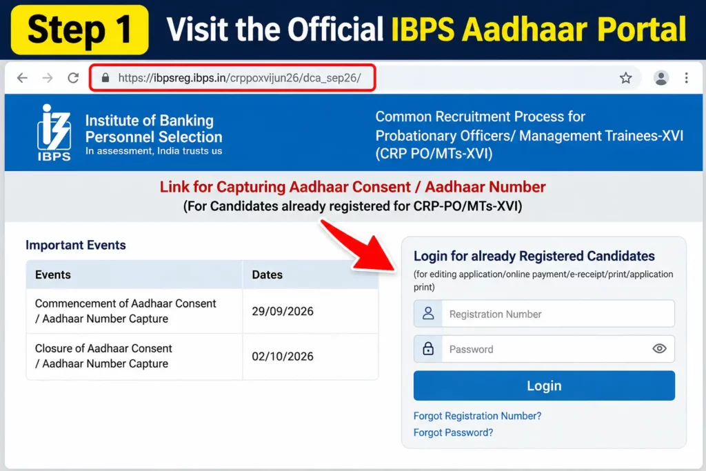 Visit the Official IBPS Portal